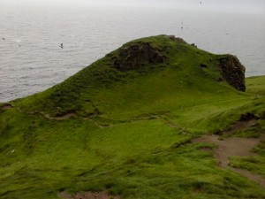 DSC00133